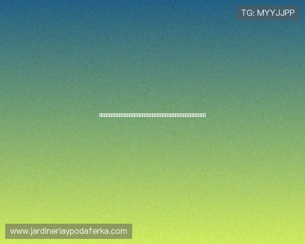 开云体育开户下载官网安全保障措施，保障用户个人信息与资金安全，放心体验体育娱乐新玩法
