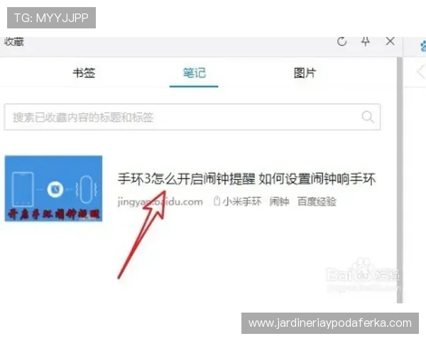 开云体育网页版登录后如何进行赛事投注提供详细操作步骤满足用户多样化需求