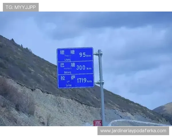 开云在线登录路口常见问题及解决方案详解确保玩家无忧登录游戏