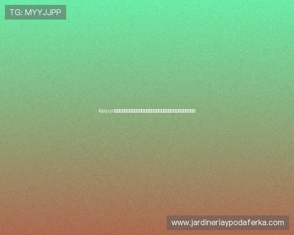 Kaiyun开云线上手机版账号安全保护措施，确保玩家个人信息与游戏资产安全无忧