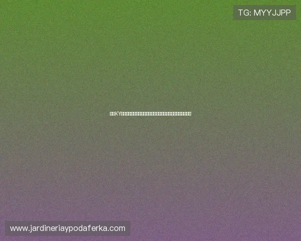 利用KY体育在线登录入口畅享世界杯直播高清画质与精彩赛事回放内容 利用KY体育在线登录入口畅享世界杯直播高清画质与精彩赛事回放内容