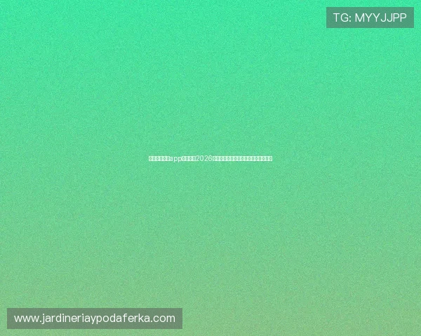 利用开云综合app快速获取2026年世界杯比赛精彩集锦与赛场热点分析 利用开云综合app快速获取2026年世界杯比赛精彩集锦与赛场热点分析