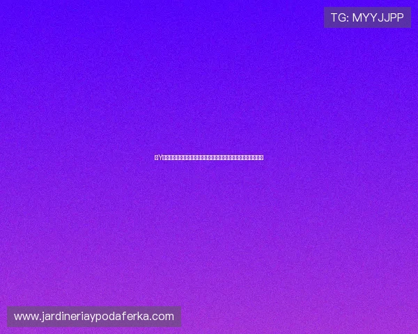 开Y云体育入口登录界面详细介绍，帮助新用户快速熟悉登录操作流程